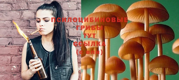 крисы Анива