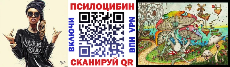 купить наркотики цена  MEGA ссылки  Галлюциногенные грибы мицелий  Йошкар-Ола 