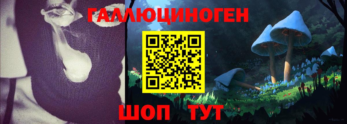 Галлюциногенные грибы ЛСД  закладки  Йошкар-Ола  Вход с VPN 